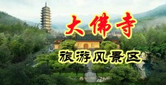 不要啊往里面操视频中国浙江-新昌大佛寺旅游风景区